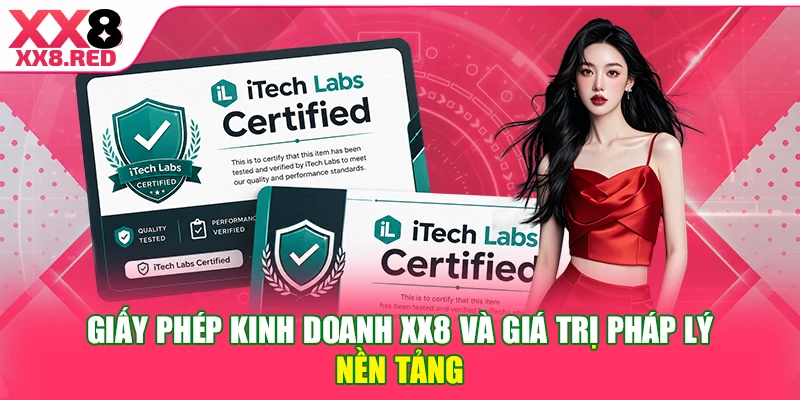 Giấy phép kinh doanh XX8 và giá trị pháp lý nền tảng 